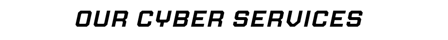 our cyber services